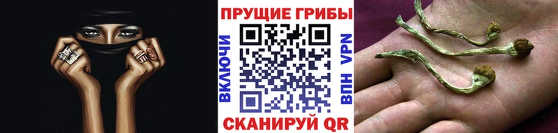 Галлюциногенные грибы GOLDEN TEACHER  блэк спрут зеркало  Ряжск  где купить наркотик 